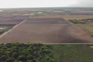 2900 County Rd, Edinburg, TX 78542 - Photo 12