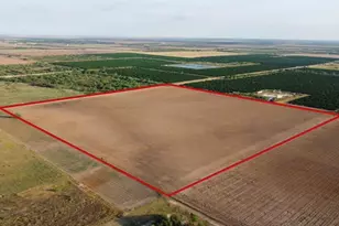 2900 County Rd, Edinburg, TX 78542 - Photo 2