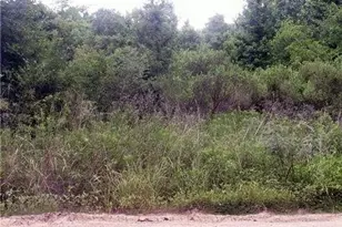 00 County Road 2926, Cleveland, TX 77327 - Photo 1