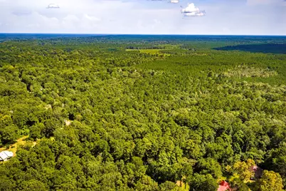 Tbd Cr 4120, Woodville, TX 75979 - Photo 6