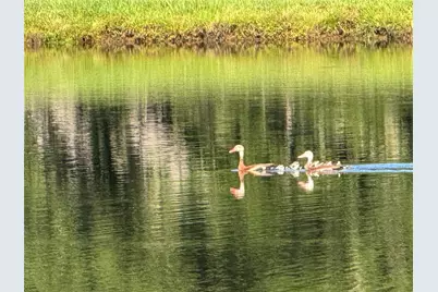 140 Meadowview Drive, Trinity, TX 75862 - Photo 10