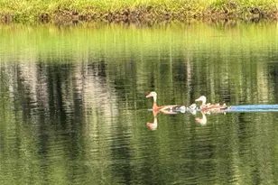 140 Meadowview Dr, Trinity, TX 75862 - Photo 10