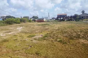 993 Neptune, Sargent, TX 77414 - Photo 1