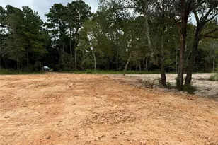 26156 Red Oak Dr, Magnolia, TX 77355 - Photo 20