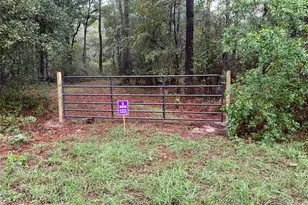 26156 Red Oak Dr, Magnolia, TX 77355 - Photo 2