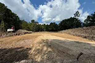 26156 Red Oak Dr, Magnolia, TX 77355 - Photo 10