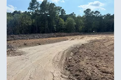 26156 Red Oak Drive, Magnolia, TX 77355 - Photo 12