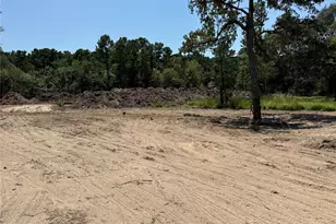 26156 Red Oak Dr, Magnolia, TX 77355 - Photo 22