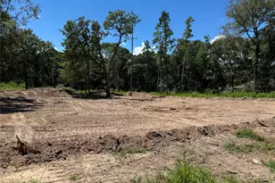 26156 Red Oak Dr, Magnolia, TX 77355 - Photo 4