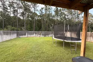 5805 Violet Berry Dr, Montgomery, TX 77316 - Photo 4