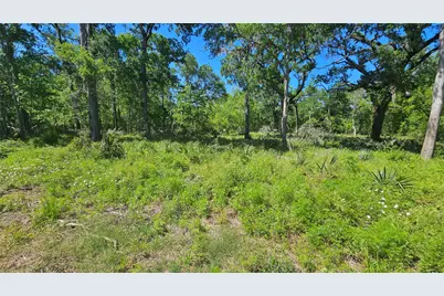248 Middle Bayou Trail, Angleton, TX 77515 - Photo 10