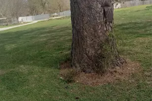 00 Goodson, Magnolia, TX 77355 - Photo 4