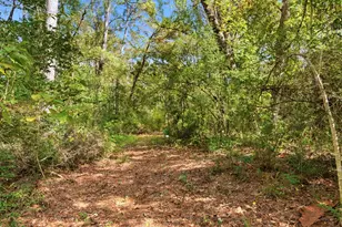 11091 Newton Cir, Conroe, TX 77303 - Photo 4