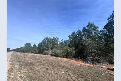 15584 Forest Grove Drive, Willis, TX 77378 - Photo 6