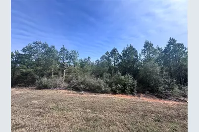 15584 Forest Grove Drive, Willis, TX 77378 - Photo 4