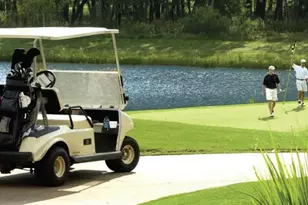 11926 Morning Cove, Missouri City, TX 77459 - Photo 6