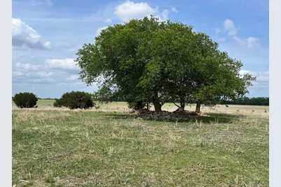 000 County Road 269 Road, Oglesby, TX 76561 - Photo 2