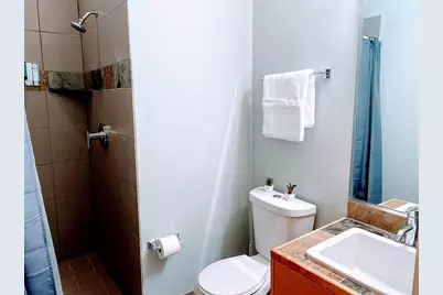 318 McAlpine Street, Houston, TX 77003 - Photo 16
