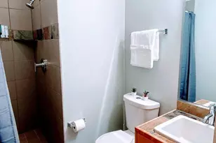 318 McAlpine St, Houston, TX 77003 - Photo 16