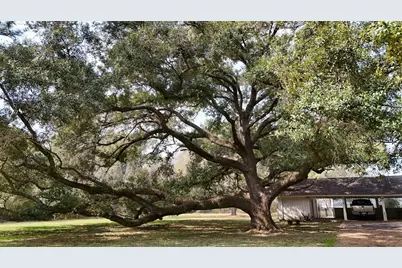 2401 Flora/Cr 422 Road, Alvin, TX 77511 - Photo 10