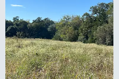 Tbd Fm 109, Columbus, TX 78934 - Photo 4