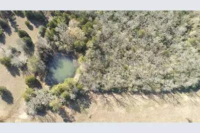 00000 Cr 102, Leona, TX 75850 - Photo 6