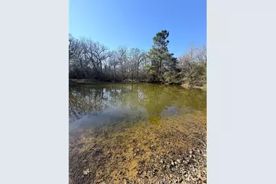 00000 Cr 102, Leona, TX 75850 - Photo 2