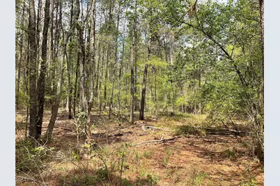 Lot 2B & 2C Fuller Springs Drive, Lufkin, TX 75901 - Photo 1