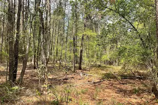 Lot 2B & 2C Fuller Springs Dr, Lufkin, TX 75901 - Photo 1