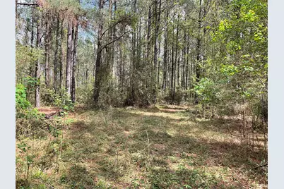 Lot 2B & 2C Fuller Springs Drive, Lufkin, TX 75901 - Photo 8