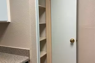 7950 N Stadium Dr, Houston, TX 77030 - Photo 24