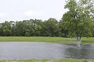 62 Laurel Ct, Cleveland, TX 77327 - Photo 28
