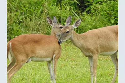 62 Laurel Court, Cleveland, TX 77327 - Photo 24