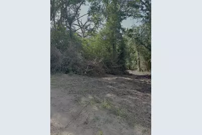 0 County Road 1208, Grapeland, TX 75844 - Photo 4
