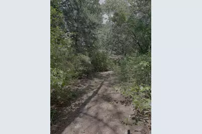 0 County Road 1208, Grapeland, TX 75844 - Photo 1