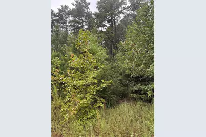 000 An County Road 3194, Frankston, TX 75763 - Photo 6