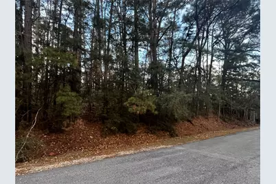 26 Sunny Hill Drive, Coldspring, TX 77331 - Photo 4