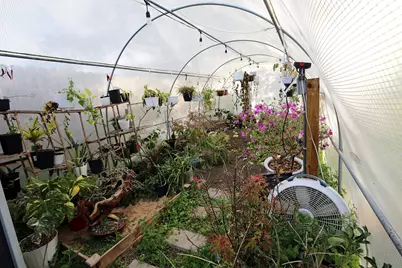 907 Riverside Drive, Alvin, TX 77511 - Photo 30