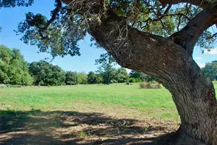 Tbd Cr 201 Hwy 90A E, Hallettsville, TX 77964 - Photo 6