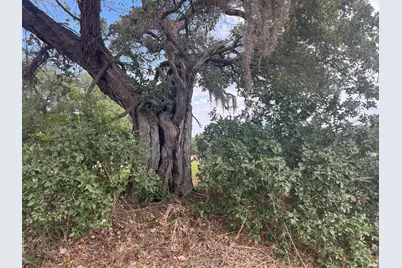 Tbd Cr 201 Hwy 90A E, Hallettsville, TX 77964 - Photo 20