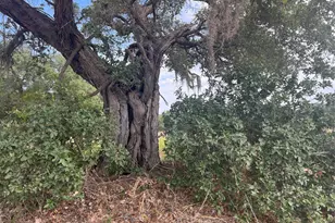 Tbd Cr 201 Hwy 90A E, Hallettsville, TX 77964 - Photo 20