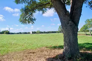 Tbd Cr 201 Hwy 90A E, Hallettsville, TX 77964 - Photo 12