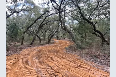 270 Cr 120, Hallettsville, TX 77964 - Photo 2