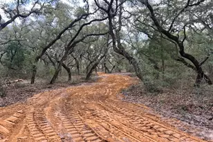 270 Cr 120, Hallettsville, TX 77964 - Photo 2