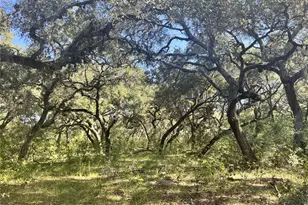 270 Cr 120, Hallettsville, TX 77964 - Photo 10