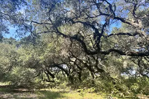 270 Cr 120, Hallettsville, TX 77964 - Photo 14