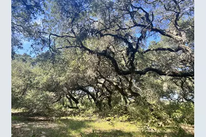 270 Cr 120, Hallettsville, TX 77964 - Photo 12