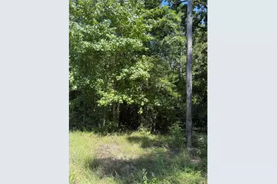 Tbd Creeklake Drive, Onalaska, TX 77360 - Photo 4