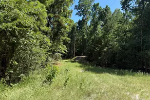 Tbd Creeklake Dr, Onalaska, TX 77360 - Photo 1