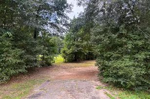 6304 FM1374, New Waverly, TX 77358 - Photo 20